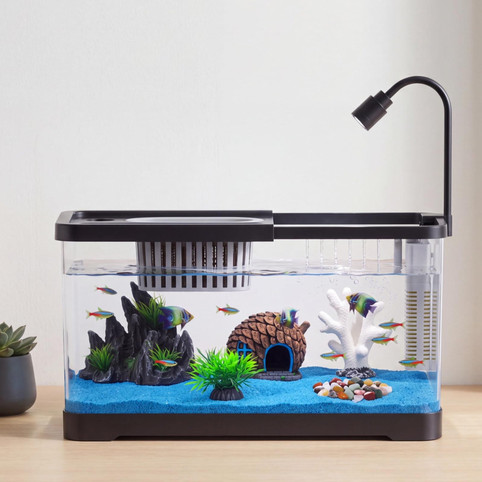 Betta Fish Tank - Balık Tankı Başlangıç Seti, Filtre ve