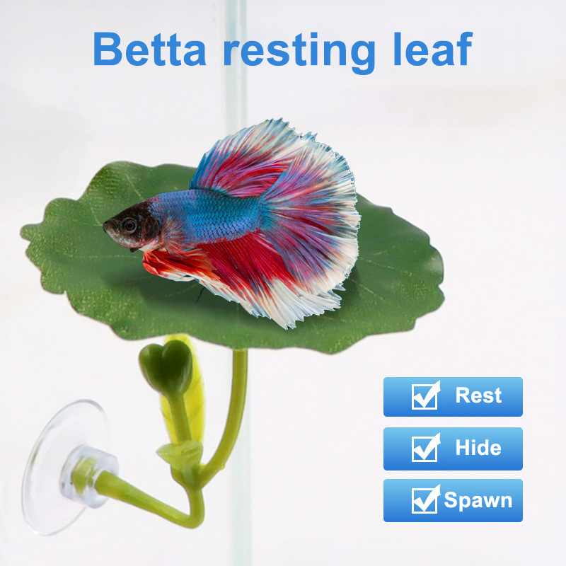 Betta Fish Tank - (Ce14)1/5PC Yeşil Yapraklı Hamak, Betta Balığı