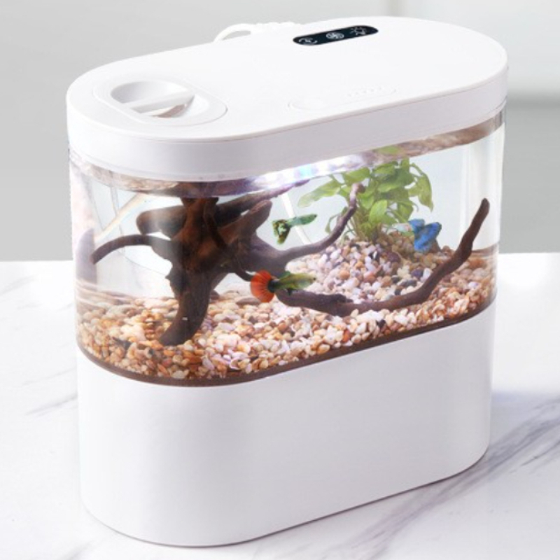 Betta Fish Tank - Biyokimyasal Filtrasyon Sistemli ve LED Işıklı