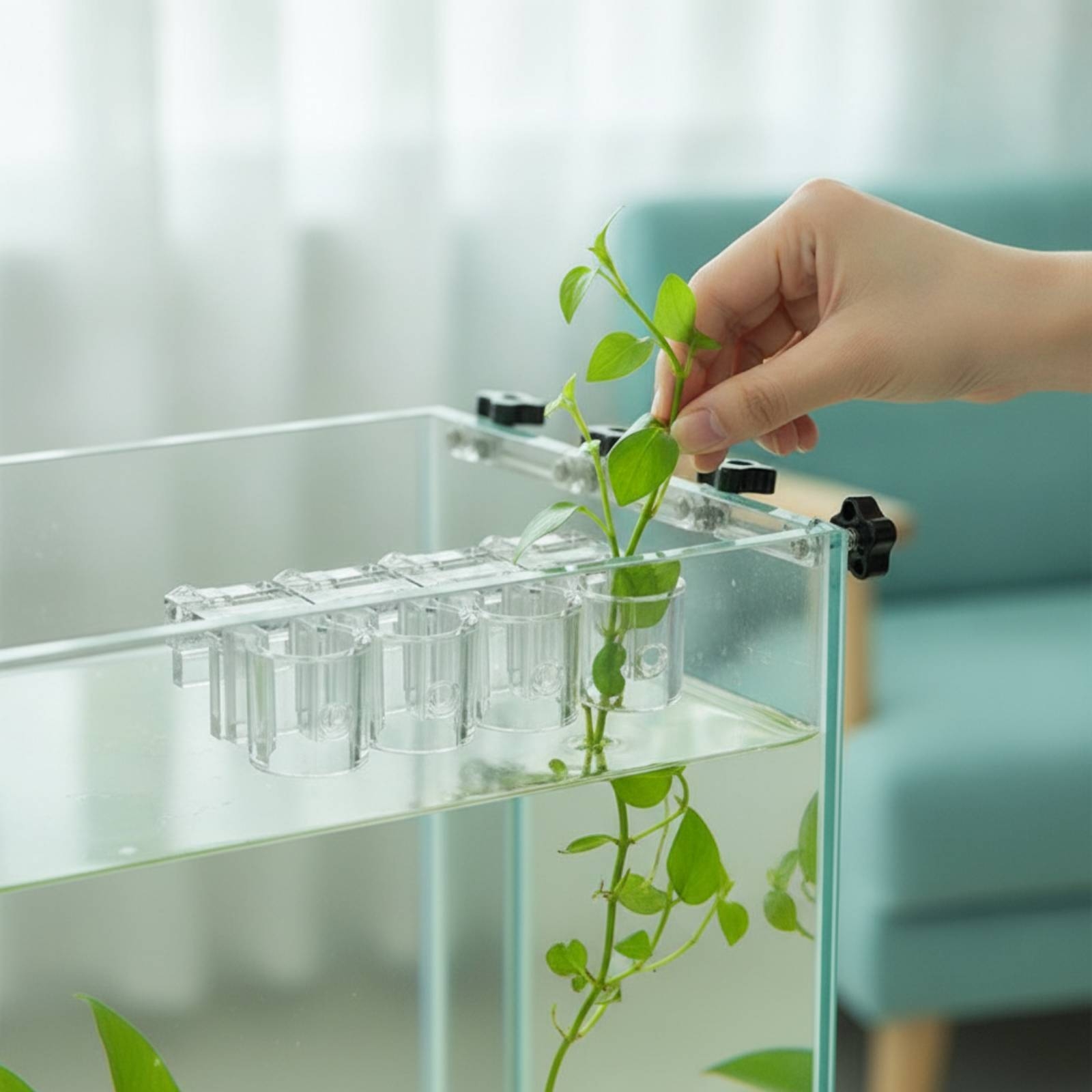 6 Parça Akvaryum Ekici Şeffaf  - Aquarium Plants incelemesi ve fiyatı