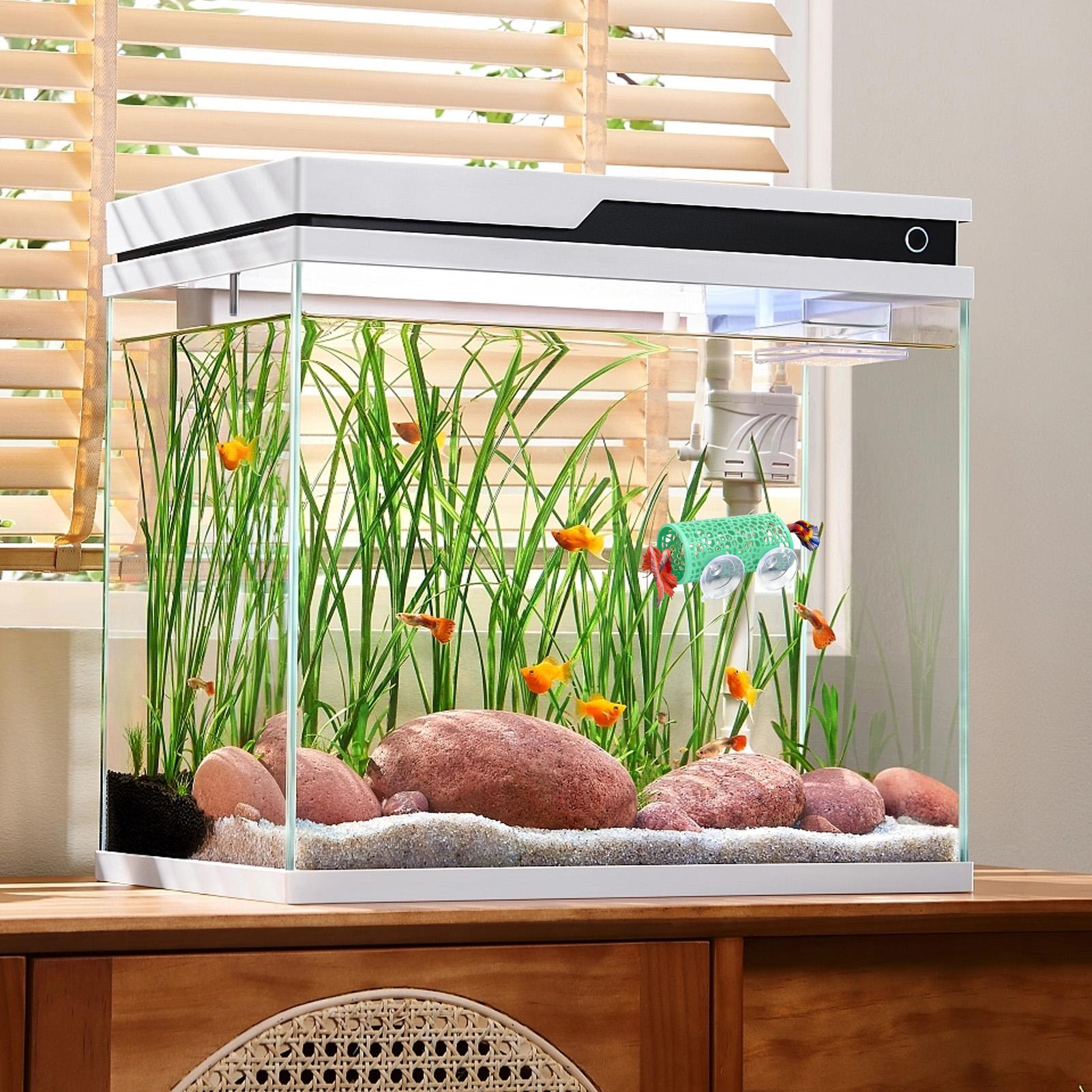 Betta Habitat Dinlenme Barınağ - Betta Fish Tank incelemesi ve fiyatı