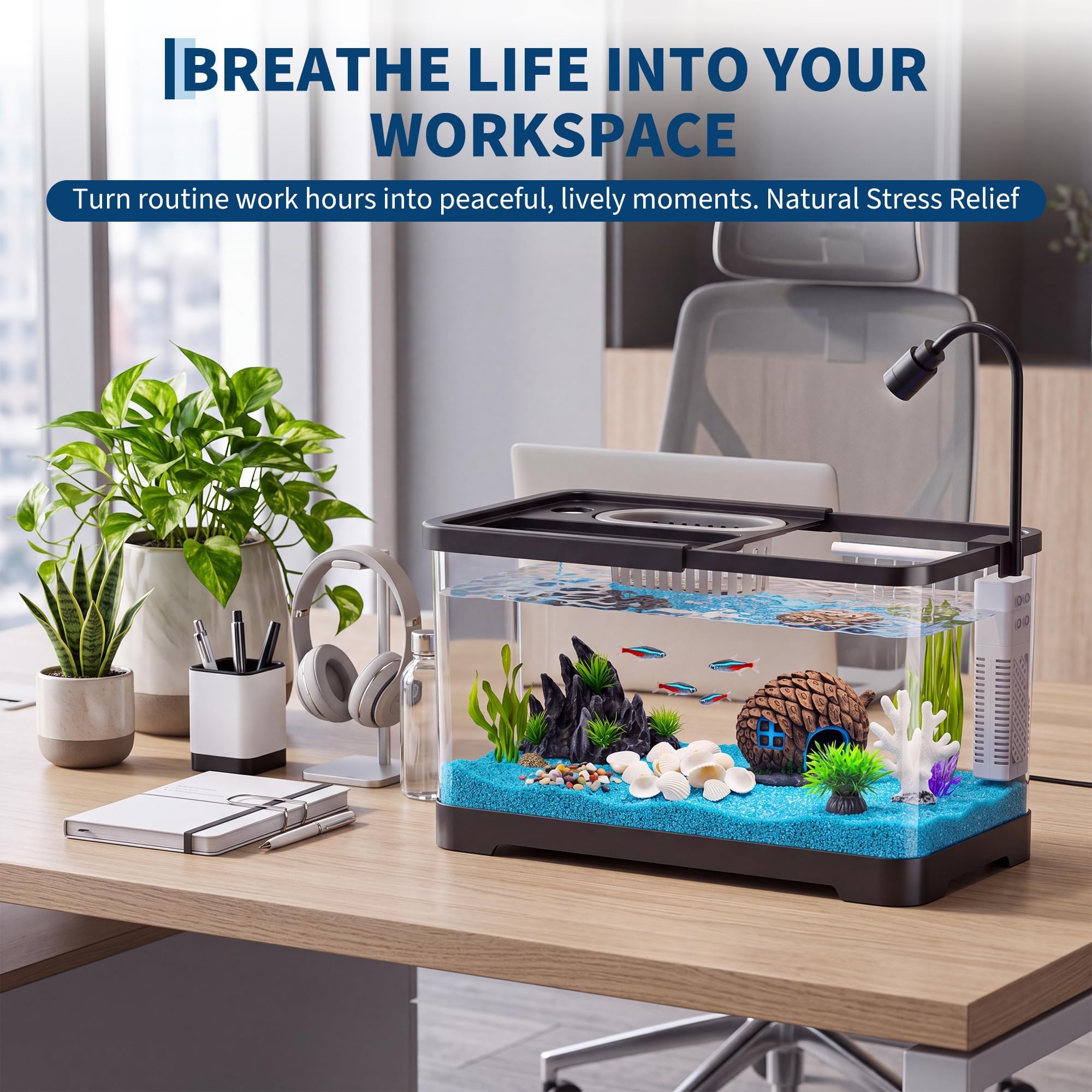 Balık Tankı Başlangıç Seti, Fi - Betta Fish Tank incelemesi ve fiyatı