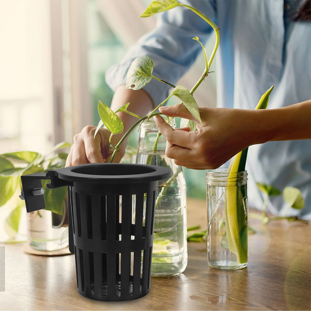 6 Adet Hidroponik Yetiştirme S - Aquarium Plants incelemesi ve fiyatı