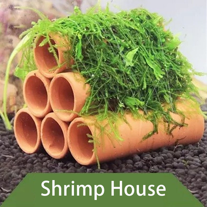 Kil Akvaryum Dekorasyon Balık  - Betta Fish Tank incelemesi ve fiyatı