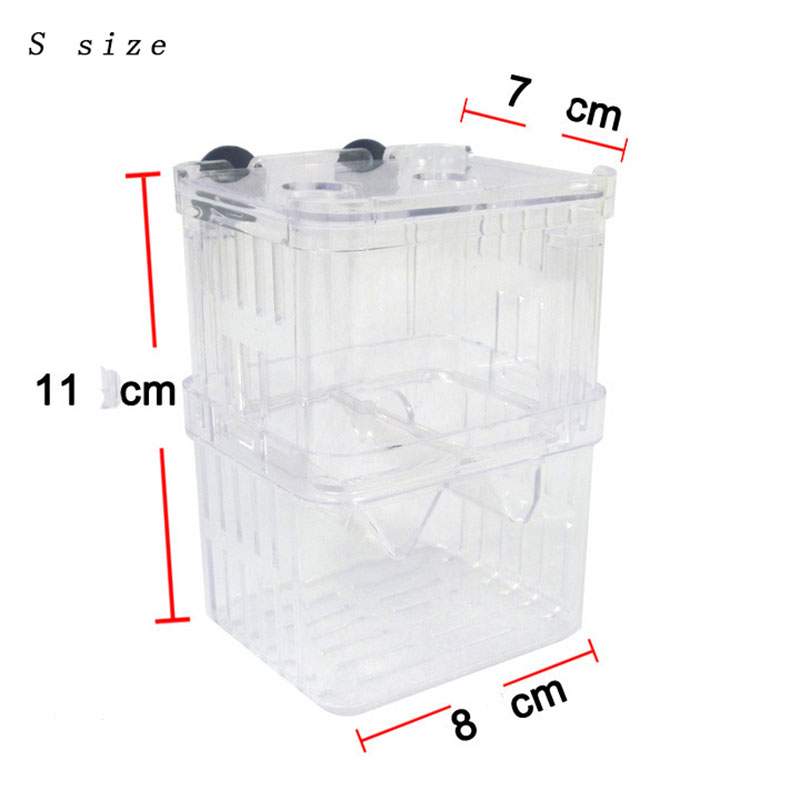 Tavuskuşu Balık Yetiştiriciliğ - Betta Fish Tank incelemesi ve fiyatı